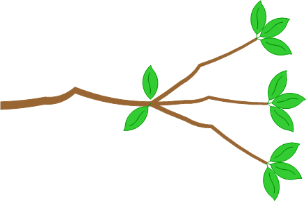 Branches with leaves at the joint