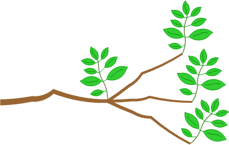 Diagram with different sized leaves on stems